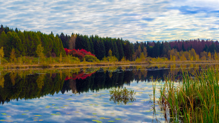 Similar image 3089230