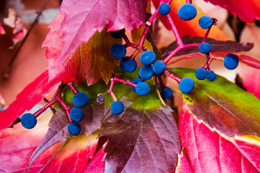 Similar image 3090379