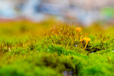 Similar image 3090407