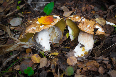 Similar image 3090426