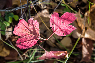 Similar image 3090433