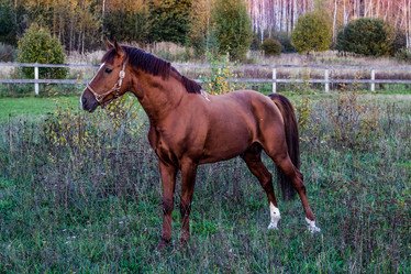 Similar image 3090442