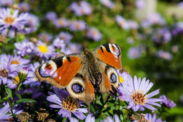 Similar image 3090487