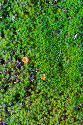 Similar image 3090511