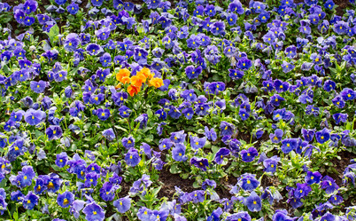 Similar image 3091809