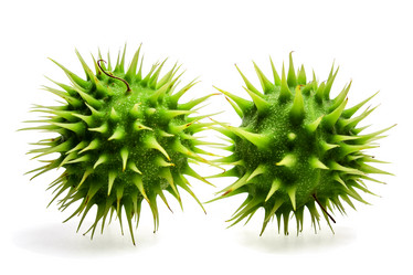 Similar image 3091819