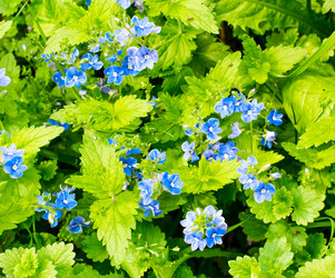 Similar image 3091830