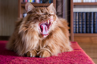 Similar image 3092032