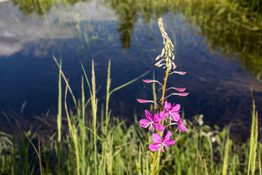 Similar image 3092094