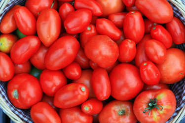 Similar image 3117160