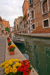 Similar image 3142259