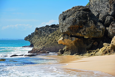 Similar image 3142296