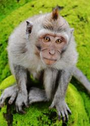 Similar image 3159084