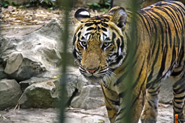 Similar image 3159098