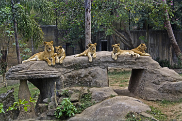 Similar image 3159110