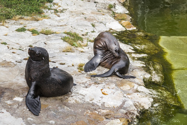 Similar image 3474925