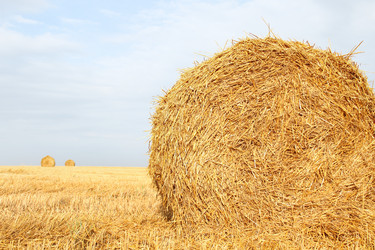 Similar image 3496109