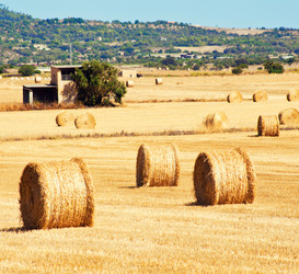 Similar image 3497444