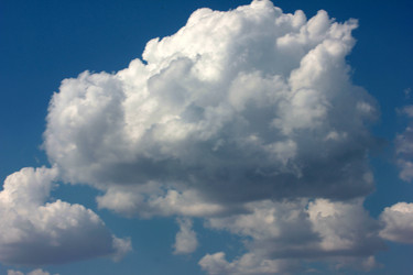 Similar image 3498459