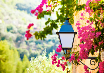 Similar image 3498575