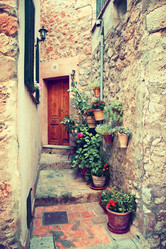 Similar image 3498620