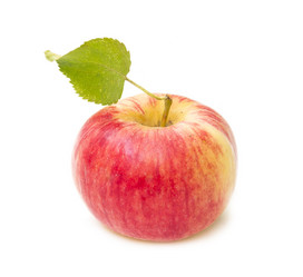 Similar image 3502811