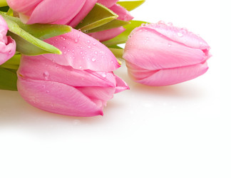 Similar image 3503012