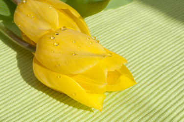 Similar image 3503086