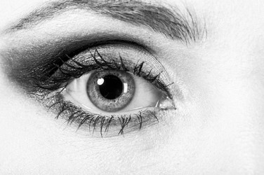 Similar image 3509397