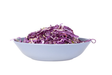 Similar image 3522252