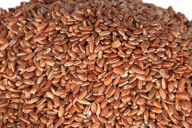 Similar image 3522537