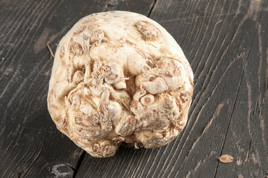 Similar image 3526352