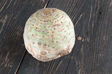 Similar image 3526374