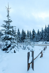 Similar image 3528501