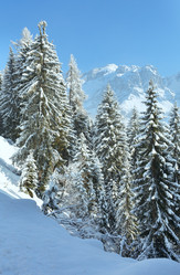 Similar image 3528595