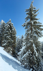 Similar image 3533925