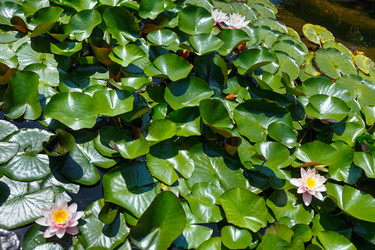 Similar image 3534200