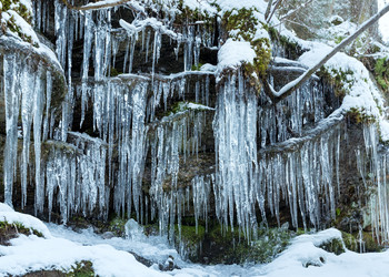 Similar image 3534432