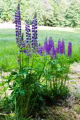 Similar image 3536535