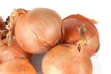 Similar image 3538830