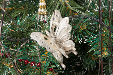 Similar image 3539521