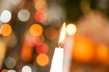 Similar image 3544711