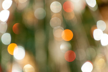 Similar image 3544783