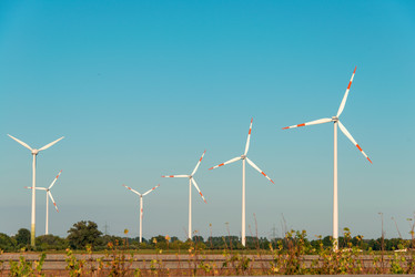 Similar image 3557076