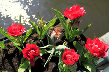 Similar image 3558016