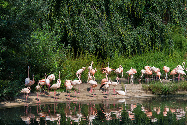 Similar image 3558963