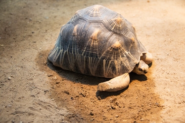 Similar image 3561885