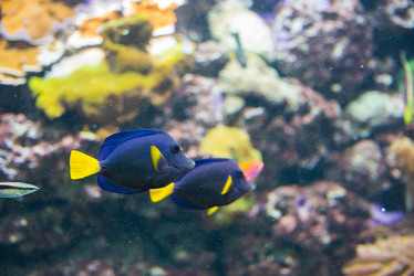 Similar image 3562008