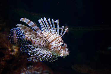 Similar image 3579797