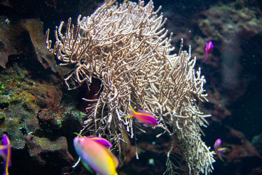 Similar image 3579810